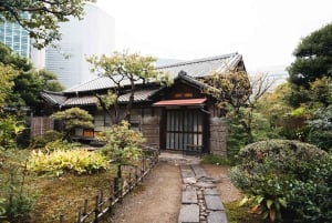 Tokyo: Zen Meditation, Calligraphy, and Tea Experience