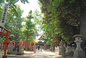 Tokyo: Zoshigaya & Kishimojin Shrine Walking Tour