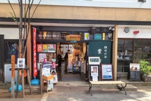 Tokyo: Zoshigaya & Kishimojin Shrine Walking Tour