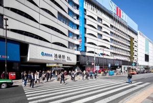 Tokyo: Zoshigaya & Kishimojin Shrine Walking Tour