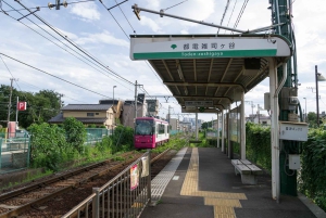 Tokyo: Zoshigaya & Kishimojin Shrine Walking Tour