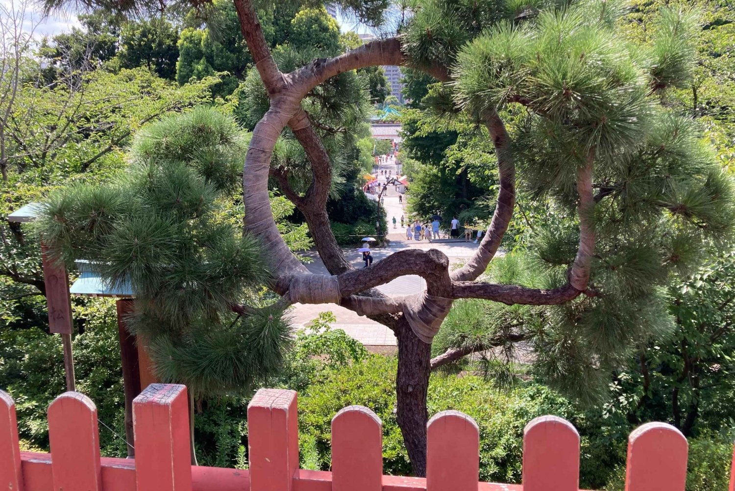 Tokyo: National Museum & Ukiyoe History Private Tour in Ueno