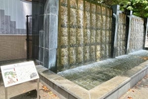 Tokio: Kansallismuseo ja ukiyo-e-taiteen historia -yksityiskierros Uenossa