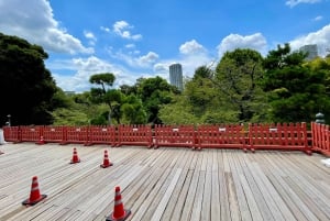 Tokio: Kansallismuseo ja ukiyo-e-taiteen historia -yksityiskierros Uenossa