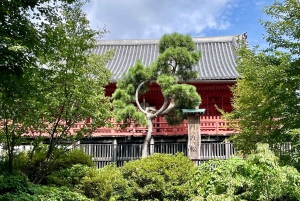 Tokio: Kansallismuseo ja ukiyo-e-taiteen historia -yksityiskierros Uenossa