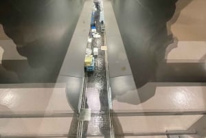 Real Toyosu Fish Market +Make Sushi +Macha Tea Experience
