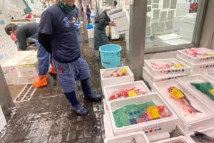 Real Toyosu Fish Market +Make Sushi +Macha Tea Experience