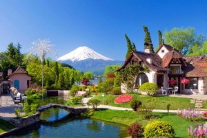 Unforgettable Full-Day Tour to Mount Fuji