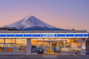 Unforgettable Full-Day Tour to Mount Fuji