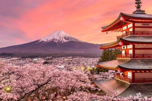 Unforgettable Full-Day Tour to Mount Fuji