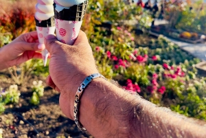 VIP Fudżi i Hakone z pięknymi jeziorami wycieczka prywatna