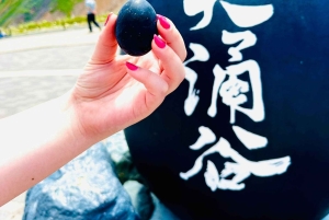 VIP Fudżi i Hakone z pięknymi jeziorami wycieczka prywatna