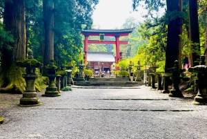 VIP Fudżi i Hakone z pięknymi jeziorami wycieczka prywatna