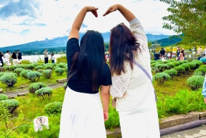VIP Fudżi i Hakone z pięknymi jeziorami wycieczka prywatna
