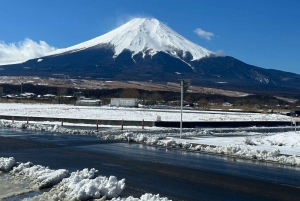 VIP Fudżi i Hakone z pięknymi jeziorami wycieczka prywatna