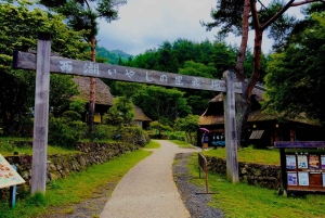 VIP Fudżi i Hakone z pięknymi jeziorami wycieczka prywatna