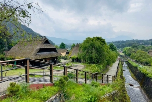 VIP Fudżi i Hakone z pięknymi jeziorami wycieczka prywatna