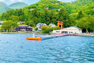 VIP Fudżi i Hakone z pięknymi jeziorami wycieczka prywatna