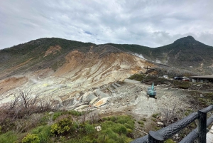 VIP Fudżi i Hakone z pięknymi jeziorami wycieczka prywatna
