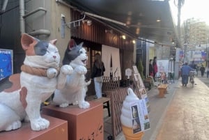 Tour a piedi: Yanaka, Nezu& Sendagi: Cerimonia del tè e vecchia Tokyo