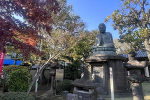 Tour a piedi: Yanaka, Nezu& Sendagi: Cerimonia del tè e vecchia Tokyo