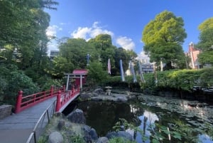 Tour a piedi: Yanaka, Nezu& Sendagi: Cerimonia del tè e vecchia Tokyo