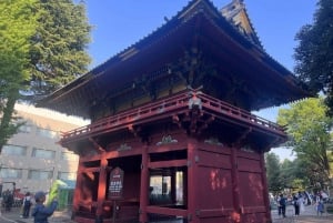 Tour a piedi: Yanaka, Nezu& Sendagi: Cerimonia del tè e vecchia Tokyo