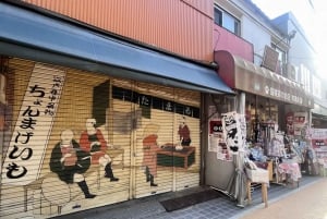 Tour a piedi: Yanaka, Nezu& Sendagi: Cerimonia del tè e vecchia Tokyo