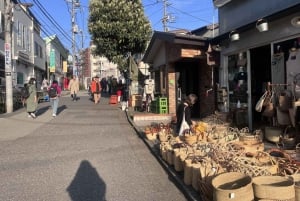 Tour a piedi: Yanaka, Nezu& Sendagi: Cerimonia del tè e vecchia Tokyo