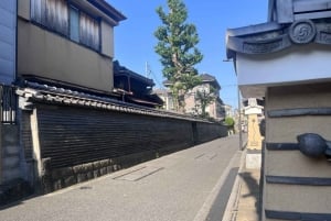 Tour a piedi: Yanaka, Nezu& Sendagi: Cerimonia del tè e vecchia Tokyo