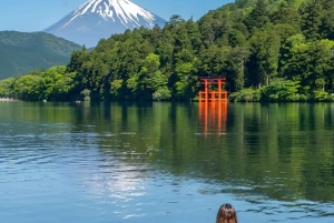 Vanuit Tokio: Fuji Berg Privé Dagtrip met chauffeur