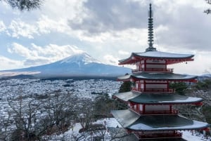 Vanuit Tokio: Fuji Berg Privé Dagtrip met chauffeur