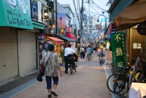 Yanaka District: Historical Walking Tour in Tokyo's Old Town