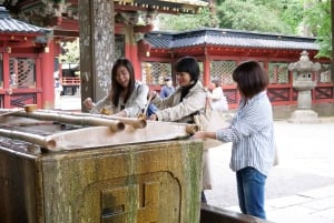 Yanaka District: Historical Walking Tour in Tokyo's Old Town