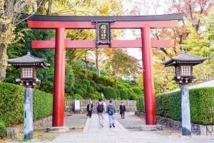 Yanaka District: Historical Walking Tour in Tokyo's Old Town