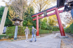 Yanaka District: Historical Walking Tour in Tokyo's Old Town