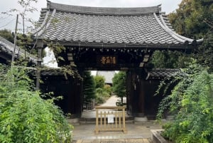 Tour privato: passeggiata culturale nella vecchia Tokyo a Yanaka e Nezu