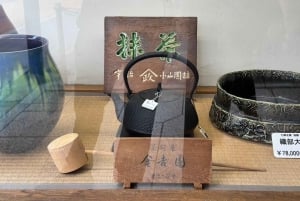 Tour privato: passeggiata culturale nella vecchia Tokyo a Yanaka e Nezu