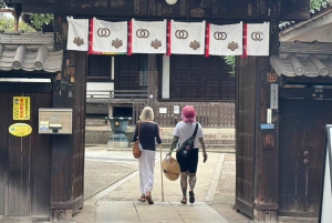 Tour privato: passeggiata culturale nella vecchia Tokyo a Yanaka e Nezu