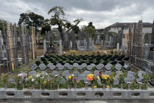 Tour privato: passeggiata culturale nella vecchia Tokyo a Yanaka e Nezu