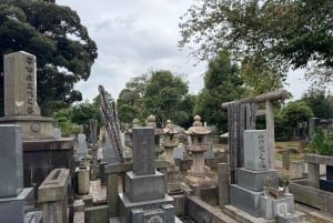 Tour privato: passeggiata culturale nella vecchia Tokyo a Yanaka e Nezu