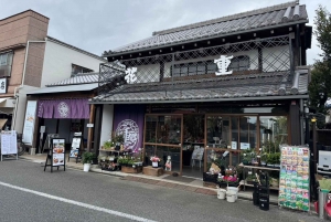 Tour privato: passeggiata culturale nella vecchia Tokyo a Yanaka e Nezu
