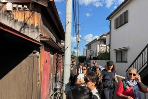 Tour privato: passeggiata culturale nella vecchia Tokyo a Yanaka e Nezu