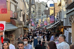 Tour privato: passeggiata culturale nella vecchia Tokyo a Yanaka e Nezu