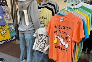 Tour privato: passeggiata culturale nella vecchia Tokyo a Yanaka e Nezu