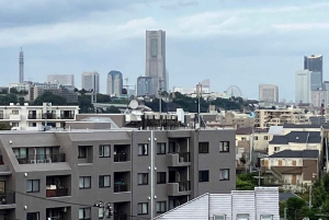 Yokohama Half Day Tour with a Local Expert Guide