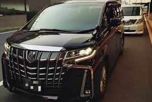 Tokyo: Private Transfer to/from Yokohama Port