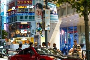 Yokohama/Tokyo: Nissan GT-R R35 and R34 Guided Tour