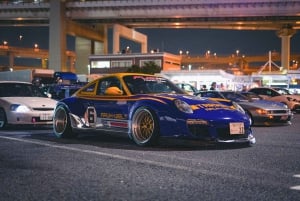 Yokohama/Tokyo: Nissan GT-R R35 and R34 Guided Tour