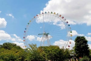 Tokyo: Yomiuri Land Express 1-Day Pass for Foreign Visitors